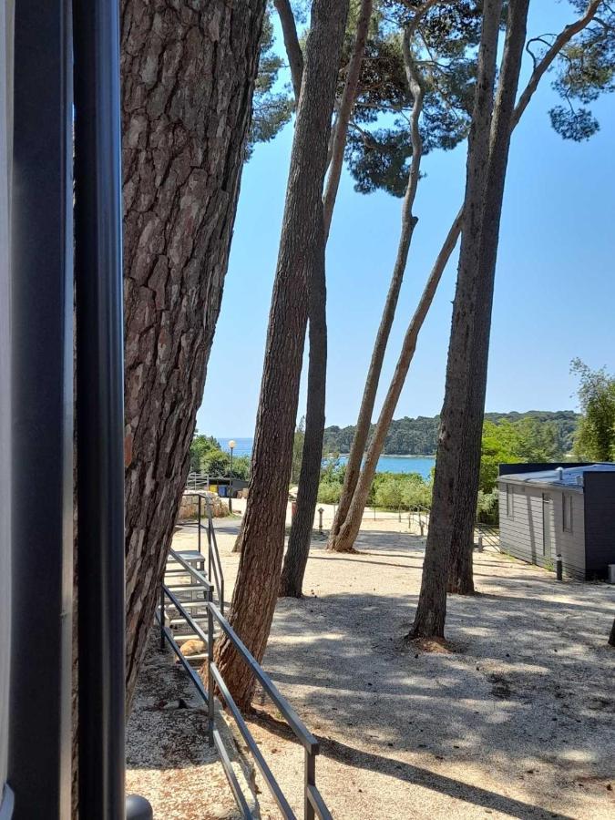 Campsite Mobile Masa 163, Camp Porton Biondi Rovinj